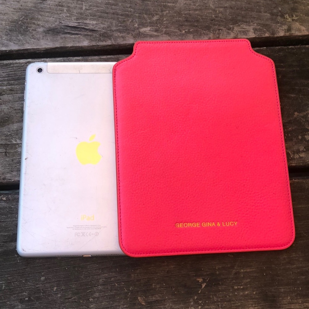 iPad case (mini iPad)
